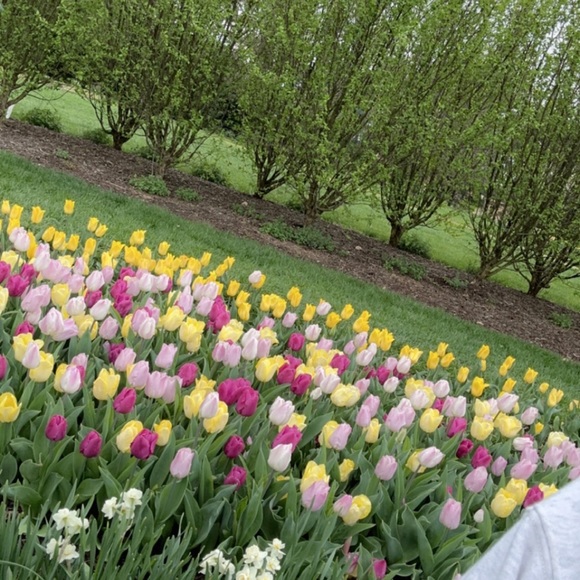 Meet your Posher, Renas - Picture 1 of 1